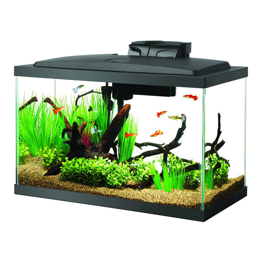 LED Aquarium Kit - 10 gal