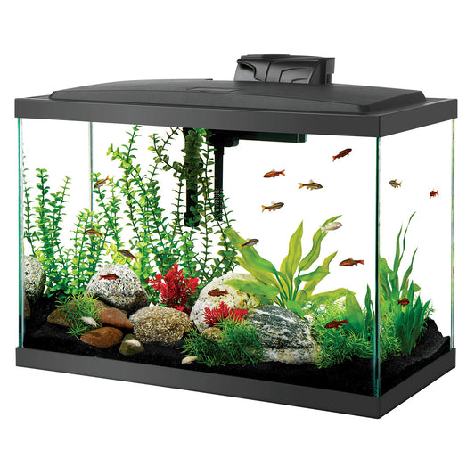 LED Aquarium Kit - 20 gal - HAUT